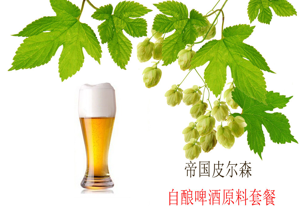 Imperial Pilsen (imitation vintage dog AVERY BROWN DREDGE) 20 litres of self-made raw material package supplies