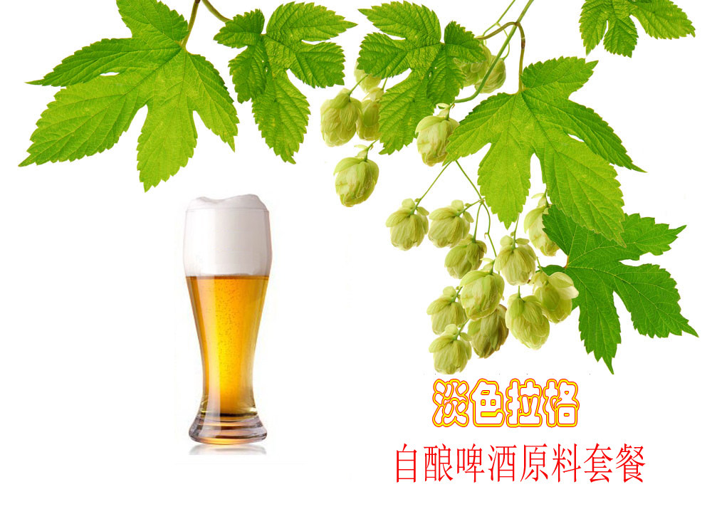 Pale lager beer raw material package 20 liters home-brewed raw material tool supplies