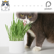 Luxury Cat-PIDAN Cat Grass Planting Set Deburnized Hairy Cat Grass Catnip Wheat Seed Cat Snacks