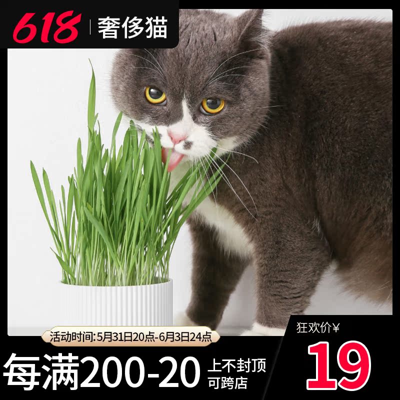 Luxury Cat-PIDAN Cat Grass Planting Suit to Mao Ball Stuffed Cat Grass Cat Mint Wheat Seed Cat Snacks