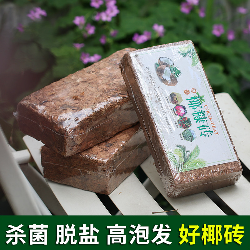 Old flower agriturism Coconut Broccoli Coconut broccoli Multi-meat green Lorraine Nutritious Soil Moon Season Cultivated Clay matrix-Taobao