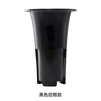 Черный контрольный корень