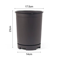 LHP06 бассейн орхидеи [принесите поднос]