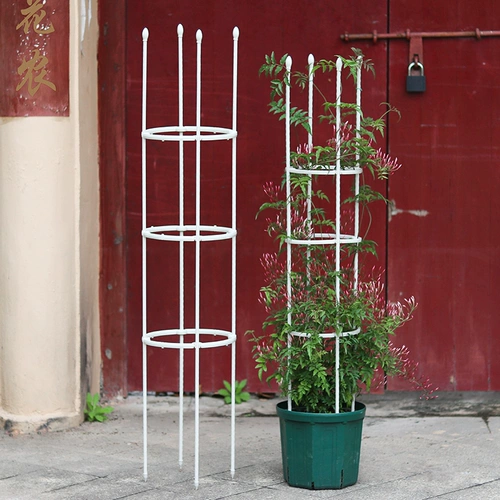 Садовые растения, поднимающиеся по розы роза Роза Роза Роза Комбинированная цветочная полка