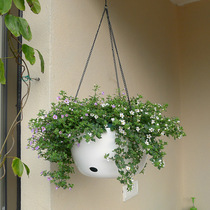 Balcony basket flowerpot creative water storage hanging pot green flower hanging pot large white hanging garden hanging Basin