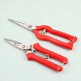 Разрежьте ветви садовника ножницы из углеродной стали домохозяйственной сдвиг цветочниц бонсай, срезание винограда, выбирая фруктовые садовые инструменты