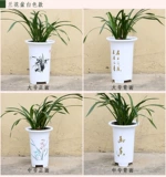 老花农 Черный пластиковый большой цветочный горшок, орхидея, увеличенная толщина