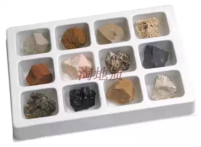 United States imported mineral rock fossil specimens 105 kinds of rock mineral geology special teaching set