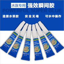 Water group Instant Gum Water Grass Gum Moss Gum Water Group Glue Fish Tank Coral Glue Moss Gum Moss Gel 5g