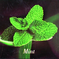 Монетный двор 1 кг