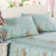 Ưu đãi đặc biệt cotton gối in phong cách châu Âu 600T gối cotton satin phiên bản AB phiên bản 48 * 74 ống gối - Gối trường hợp