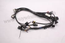 Suitable for Huanglong BJ600GS BN600i cable assembly 2 pairs of cables