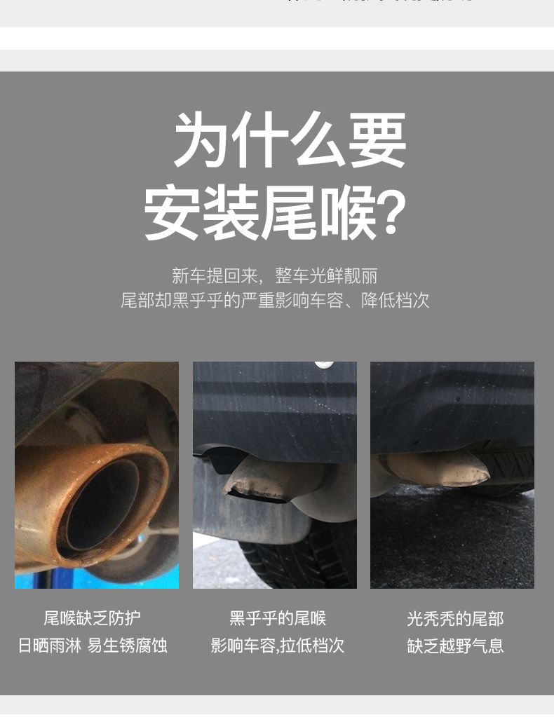 艾伯特详情_04.jpg