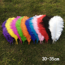 Ostrich feather 30-35cm wedding table flower decoration Quill performance headdress feather arrangement diy accessories