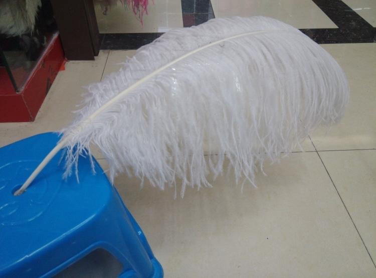70-75cm thick rod big ostrich feather wedding road lead stage catwalk carnival opening dance performance clothing accessories