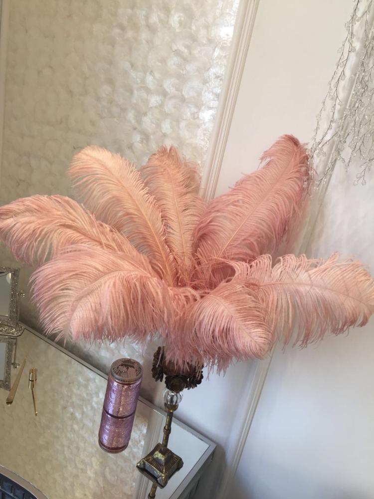 Defective ostrich feathers at a loss DIY accessories home decoration wedding decoration net red ins light old pink