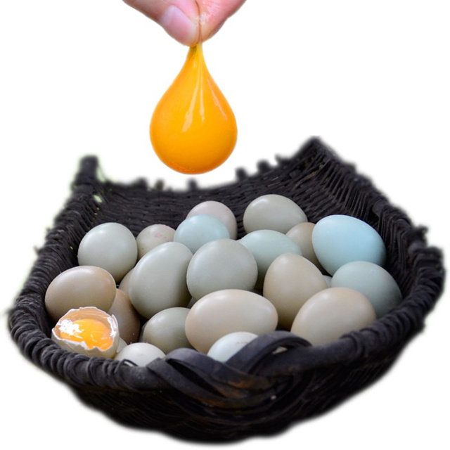 伊思萌生态农场