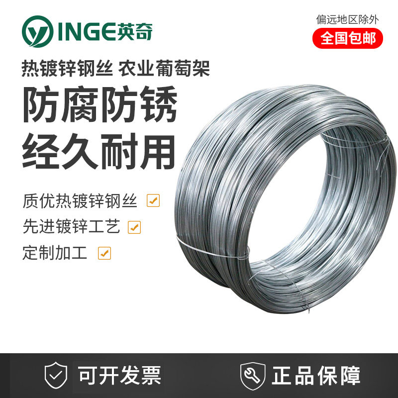 National Label quality hot-dip galvanized steel wire thickened anti-corrosive grape shelf Single steel wire rope high zinc corrosion resistant for 20 years