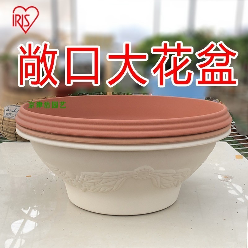 IRISPP resin open gold Koda flower pot environmentally friendly plastic European relief extra large flower pot flower green plant pot