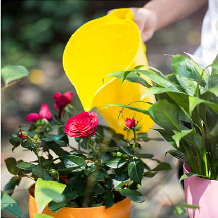 Merlot 2L large-capacity gardening watering pot green plant potted root watering pot watering pot watering pot tool