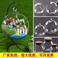 Moss Micro-landscape Экологическая бутылка прозрачная висящая бутылочная стеклян