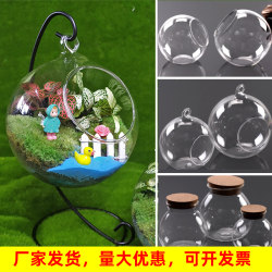 Moss Micro-Landscape Ecological Bottle Transparent Hanging Bottle Glass Vase Creative Mini Plant DIY Materials Desktop Decoration