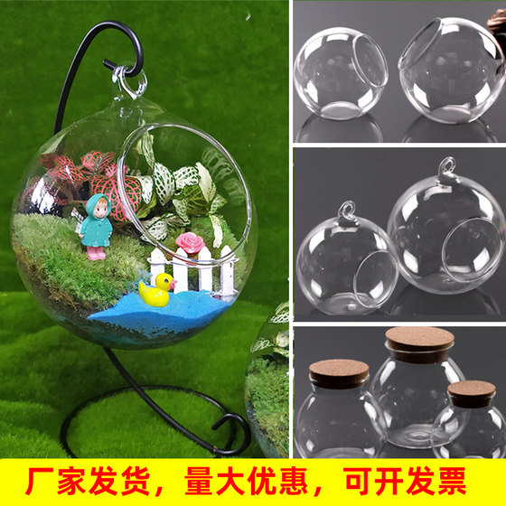 Diy material activity green plant ecological bottle micro landscape bottle