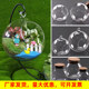 Diy material activity green plant ecological bottle micro landscape bottle