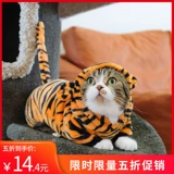 Кошачья одежда Тигр превращается в теплый безволосочный молочный кот Голубой кот с четырьмя выгущенными домашними животными.