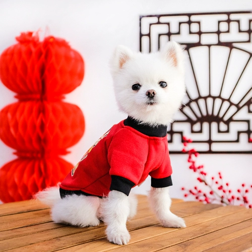 Демисезонный праздничнный зимний шнурок-держатель, пуховик, осенний сезон