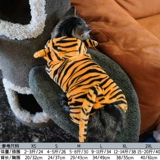 Кошачья одежда Тигр превращается в теплый безволосочный молочный кот Голубой кот с четырьмя выгущенными домашними животными.