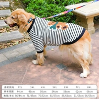 (Осень и зима) Черно -белая полоса