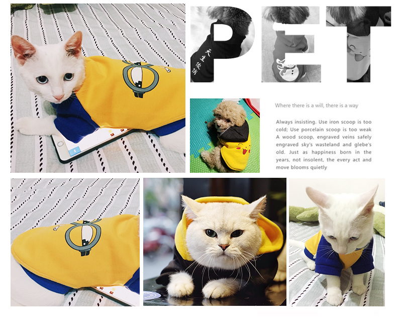 Quần áo cho chó Teddy mùa thu mỏng hơn chó Xiong Bomei mùa thu và mùa đông chó con bốn chân quần áo mùa đông mèo cưng - Quần áo & phụ kiện thú cưng áo cho mèo con
