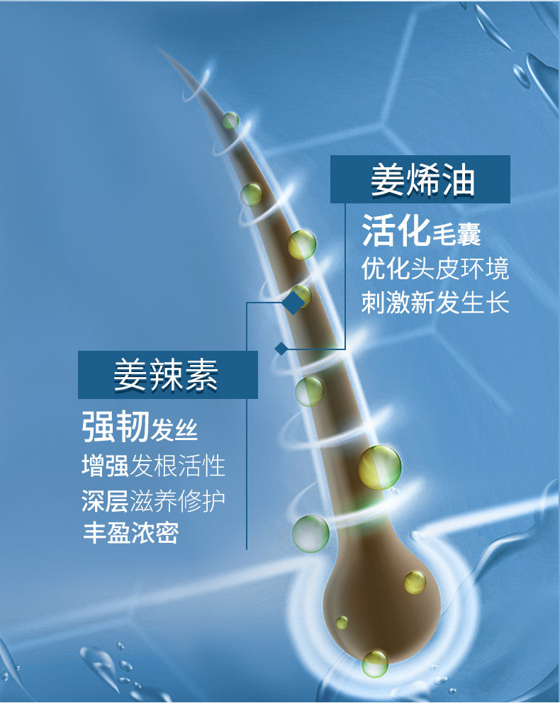卓蓝雅 防脱育发 生姜洗发水 400ml 图9