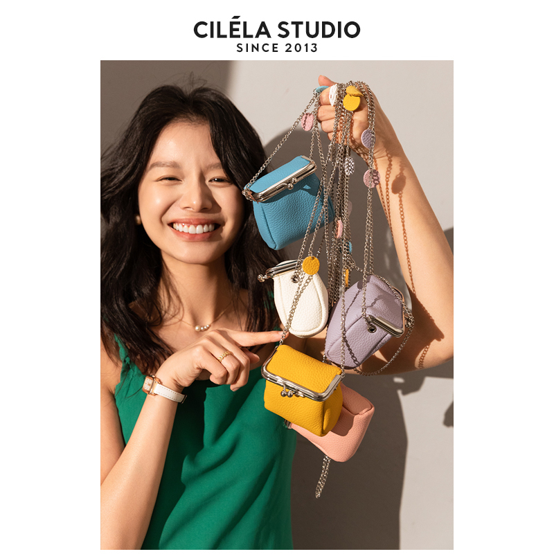 Small Chain Bag with Clasp, Jewelry Pouch, Lipstick Holder, Earphone Bag, Mini Chain Bag, Pendant, Single Shoulder Crossbody Bag for Women
