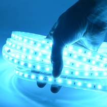 Simple dot led light with home decoration ceiling hidden light soft light strip ice blue light KTV bar outdoor 220V highlight