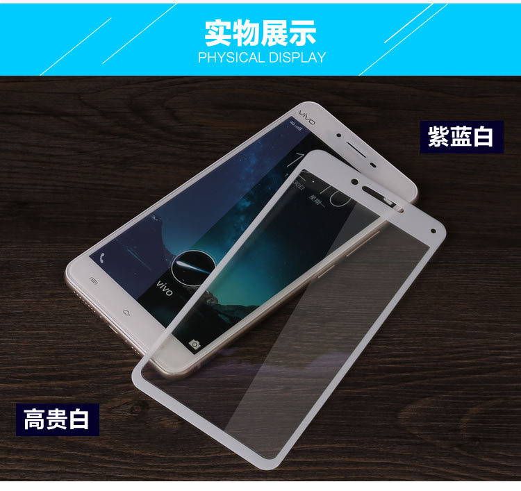 vivo-x6plus_钢化膜_13