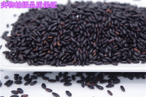 Three send a high-quality new Northeast black rice new black fragrant rice farmhouse self-produced 500g grains