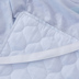 Bông chần giường váy loại giường bìa duy nhất mảnh dày bảo vệ giường che chống trượt xù ren tờ 2018 new Váy Petti