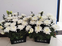 Qingming Festival flower basket portable square box plastic simple forever miss flowers simulated dried flower basket