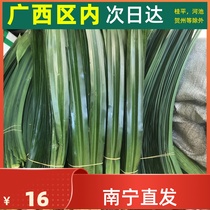 新鲜食用香兰叶斑斓叶斑兰叶做甜品椰汁糕食用芒果糯米饭广西发货