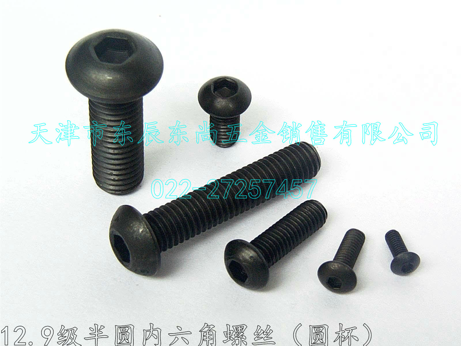 12 Grade 9 round cup hexagon socket head cap screw semi-circle head socket head cap screw ball head socket head cap M6*8-70