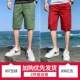 807 Bean Green+806 Red