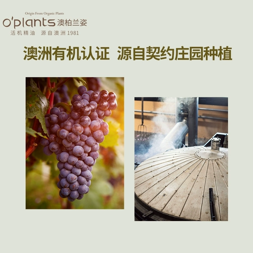 Масло семян, базовое масло для лица, качественное массажное масло для всего тела, 100 мл