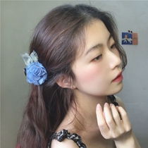 Oil painting sense hairclip Net Red new 2022 hairpin summer head catch adult female big clip headdress winter