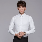 Лонгслив, цветная рубашка, классический костюм, с рукавом, 60% хлопок, в корейском стиле