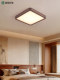 New Chinese-Style Ceiling Lamp, Simple and High-End Living Room Lamp, Black Walnut Wood, Chinese Style Bedroom and Dining Room Lighting Package for the Whole House