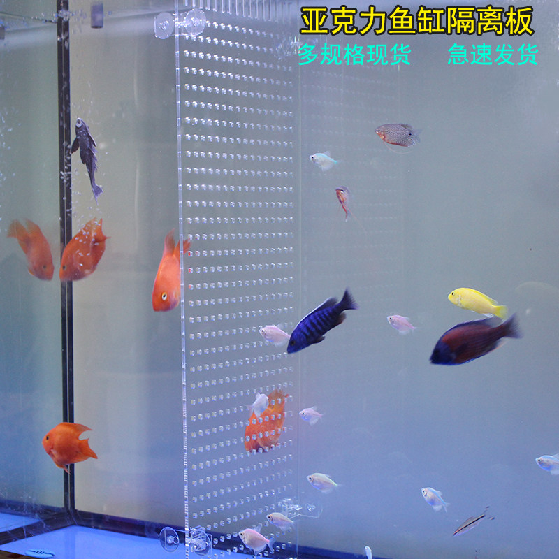 Acrylic Fish Tank Isolation Plate Isolation Plate Fish Fry Isolation Plate Customizable Isolation Mesh Bezel
