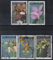 Suriname 1976 Orchid Letter Sales (sealed and washed) 5 copies