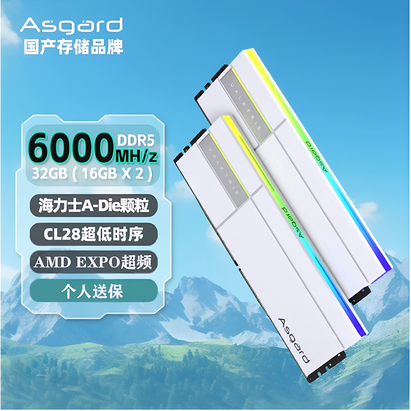 Single-Sided Asgard Valkyrie Ii 16Gx2 Set Ddr5 6000 C28 Hynix Adie Expo